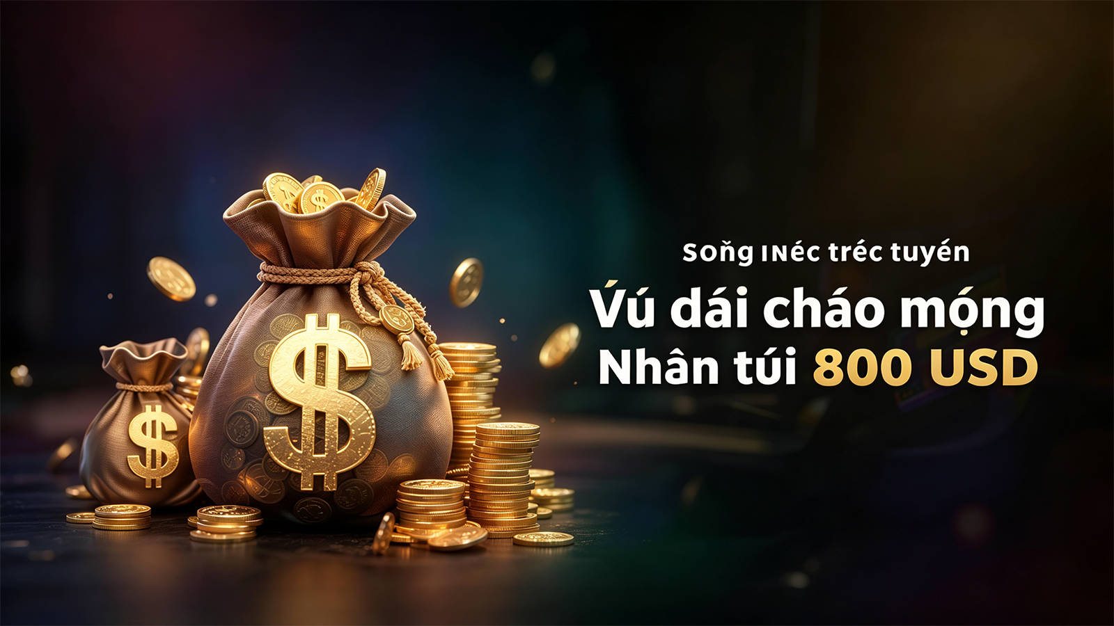 Gửi yêu cầu hỗ trợ SV666: cần ghi gì về Club?